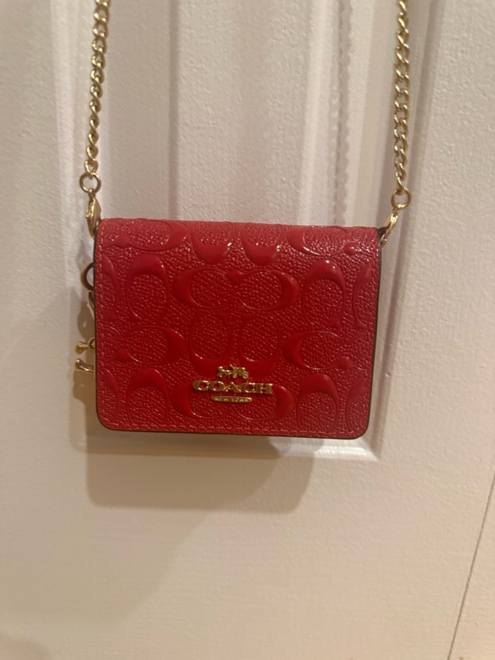 Coach - mini wallet on a chain